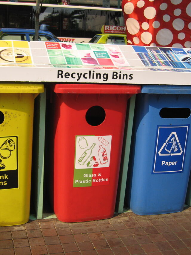 Top 10 Best Recycling Business Ideas for High Earning
